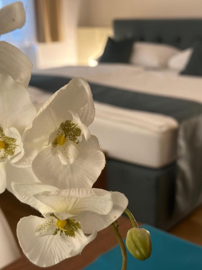 Home Sweet Apartments - A Cozy Welcome 비엔나 외부 사진